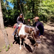 Cabalgatas en Pucón