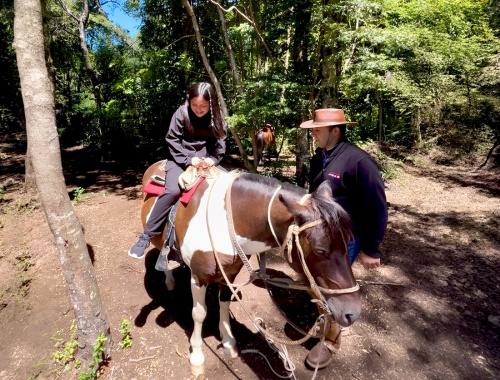 Cabalgatas en Pucón