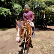 Cabalgatas en Pucón
