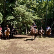 Cabalgatas en Pucón
