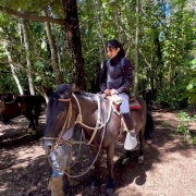 Cabalgatas en Pucón