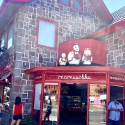 Tour San Martín de los Andes