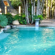 Tour Termas Pucón Indómito