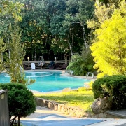 Tour Termas Pucón Indómito